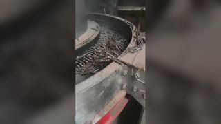Mesin Pelet Biomassa Beraksi: Output Tinggi Stabil