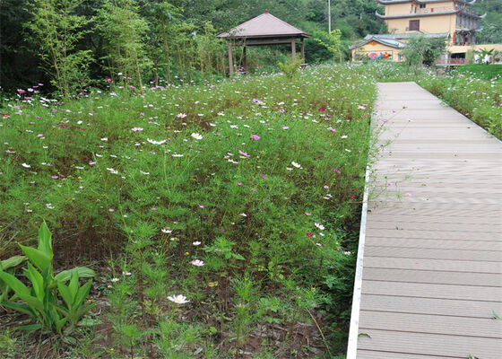 Customized Waterproof Wood Plastic Composite Flooring 3D Decking WPC Board