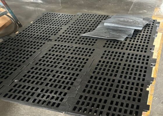 Industrial Rubber Screen Plate for Mining Separation Equipment