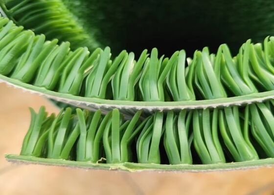 Tikar Rumput Penambangan Emas Ukuran Khusus untuk Peralatan Pengolahan