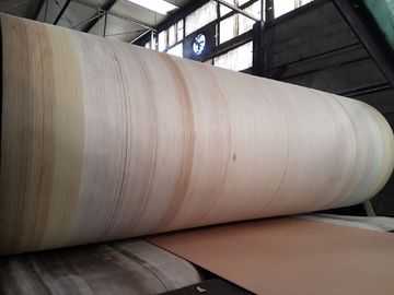 Aramid Edge Corrugator Belt Daya Tahan Tinggi Untuk Garis Bergelombang BHS, FOSBER, MARQUIP